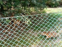 -石家庄市动物园