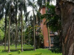 -中山大学学者灵芝(园南路店)