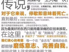 -金吉鸟健身游泳