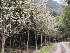 -黄公望隐居地