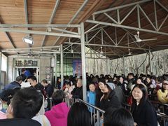 -少华山国家森林公园