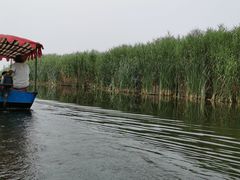 -白洋淀景区