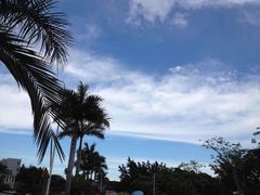 -黄金海岸环岛路