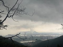-南海湾森林生态园