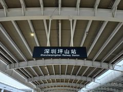 -深圳坪山站