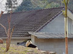 -碧峰峡风景区
