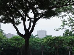 -白鹭洲公园
