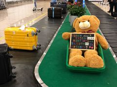 -上海浦东国际机场T1航站楼-P1停车场