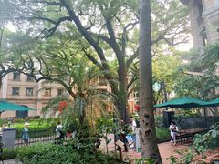 -星巴克臻选(广州沙面店)