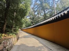 -宝通禅寺