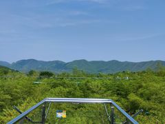 -陶祖圣境风景区
