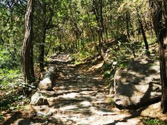 -阳台山自然风景区