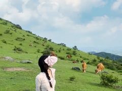 -大姆山草场