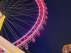-海河游船-永乐码头(大悲院)