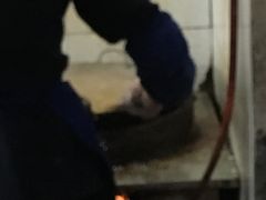 -张醪糟