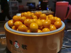 -龍歌自助小火锅(市南金茂湾店)