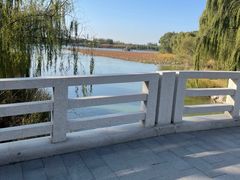 -大兴滨河森林公园