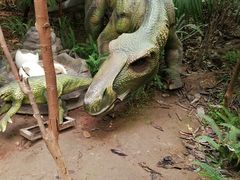 -呀路古热带植物园