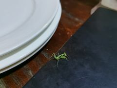 -Liberty Brewing Co·曼哈顿餐吧