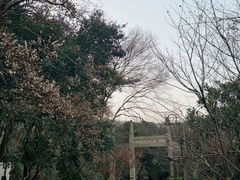 -雨花胜境