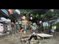 -海南热带野生动植物园