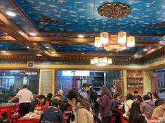 -金鼎雪山牦牛杂火锅(理县总店)