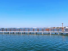 -鹅湖玫瑰文化园