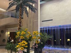 -常州环球恐龙城维景国际大酒店