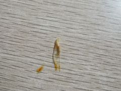 -李老二炒粉(桂林路一店)