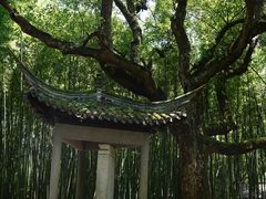 -兰亭风景区