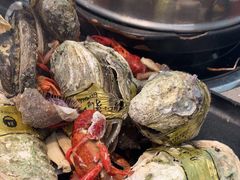 -乔哥铭洋海鲜自助(皇城恒隆广场店)