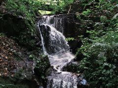 -莫里热带雨林景区