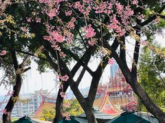 -仙岳公园