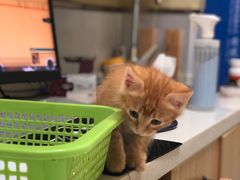 -惠康宠物医院(华能路店)