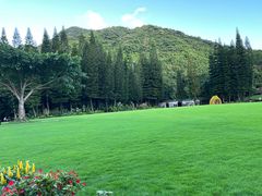 -深圳仙湖植物园