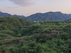 -梨木台悦来客农家院
