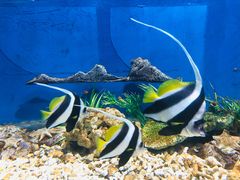 -福州罗源湾海洋世界旅游区