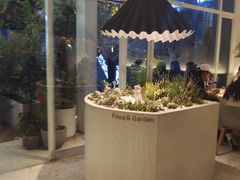 -春树下·树屋花房西餐厅(罍街AS1980店)