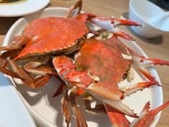 -连鹭海鲜·海肠捞饭·海胆饭(星海店)