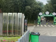 -都江堰中华大熊猫苑