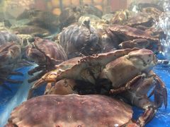 -盒马鲜生(莱蒙都会店)