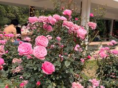 -人民公园(罗湖区)