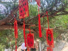 -崂山仰口游览区