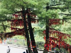 -苍山感通索道