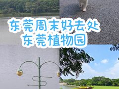 -东莞植物园