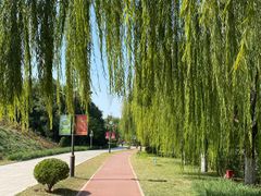-南翠屏公园