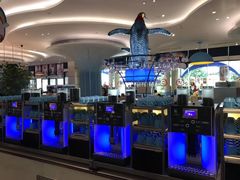 -帝企鹅自助餐厅•儿童岛•真企鹅(长隆企鹅酒店)