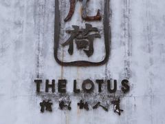 -几荷·恰似故人来(秀水广场店)
