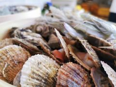 -舜和枣庄大酒店