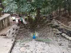 -燕塞湖鸟语林景区